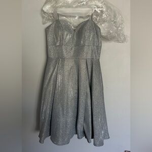 Silver Glitter Dress